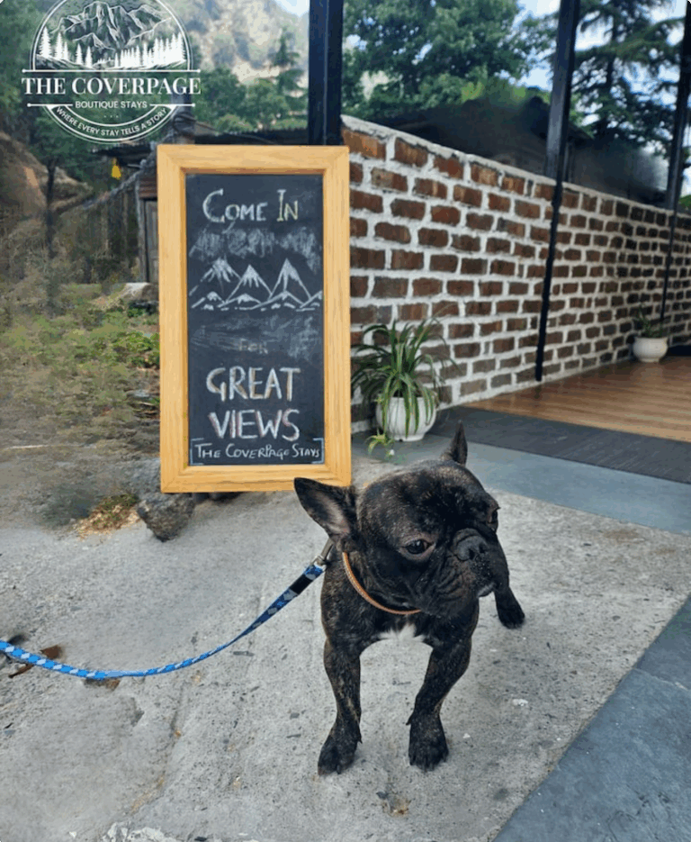Guests with their pets, The Coverpage Boutique Stays, Mussoorie