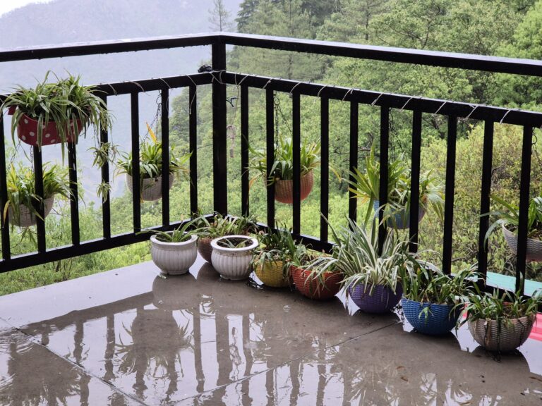 Terrace, The Coverpage Boutique Stays, Bataghat, Mussoorie