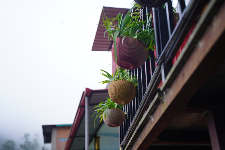 Terrace, The Coverpage Boutique Stays, Bataghat, Mussoorie