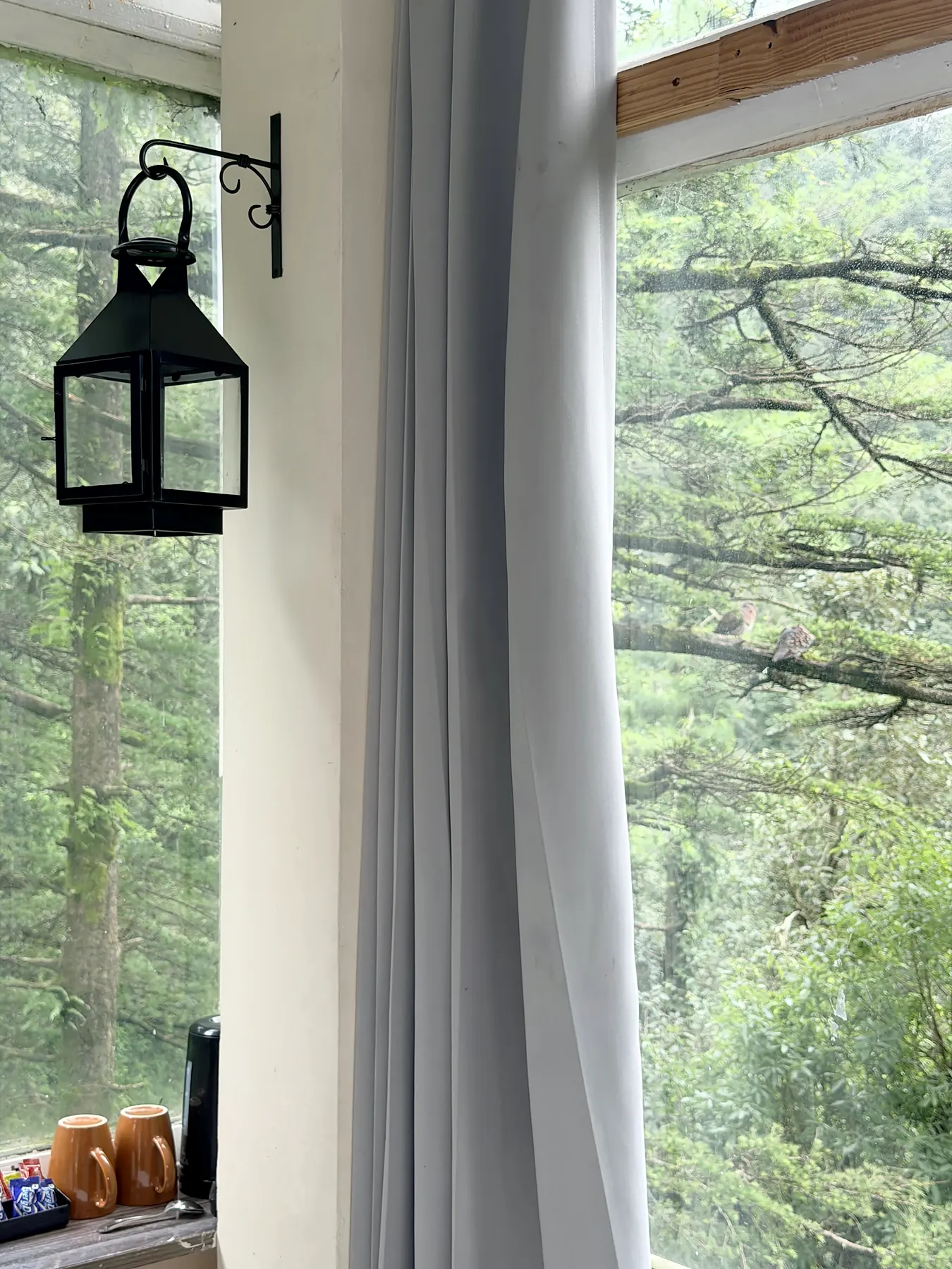 A lantern by the forest window, Panoramic Cabin room, The Coverpage Boutique Stays, Mussoorie