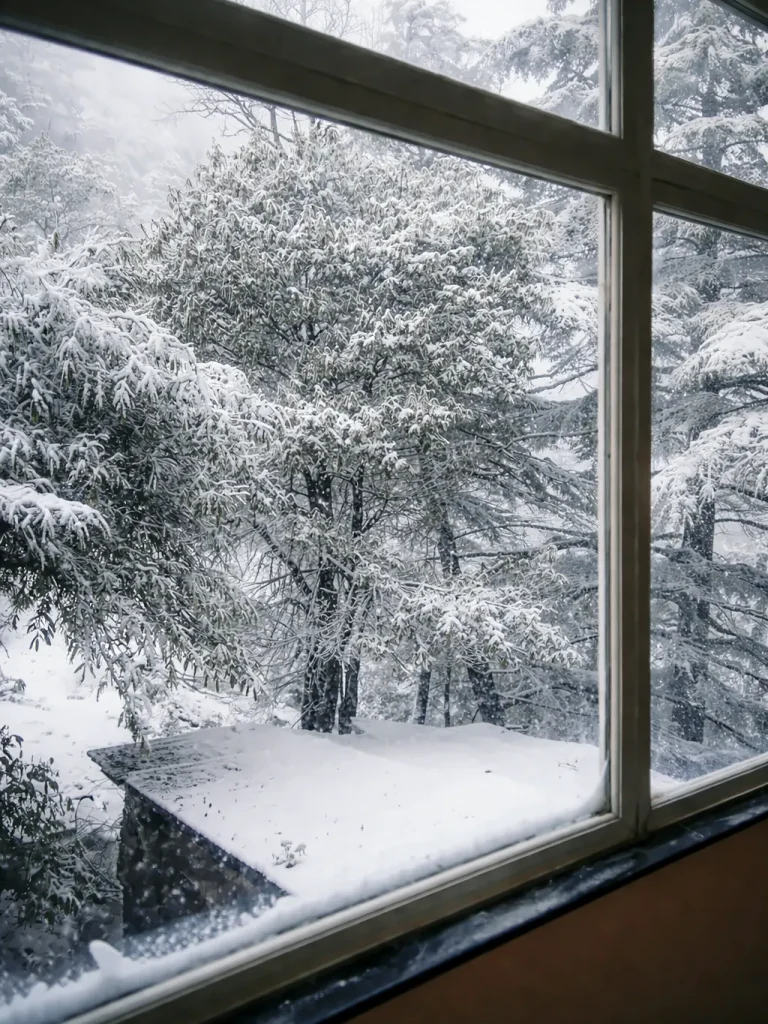 Panoramic Studio, The Coverpage Boutique Stays, Bataghat, Mussoorie