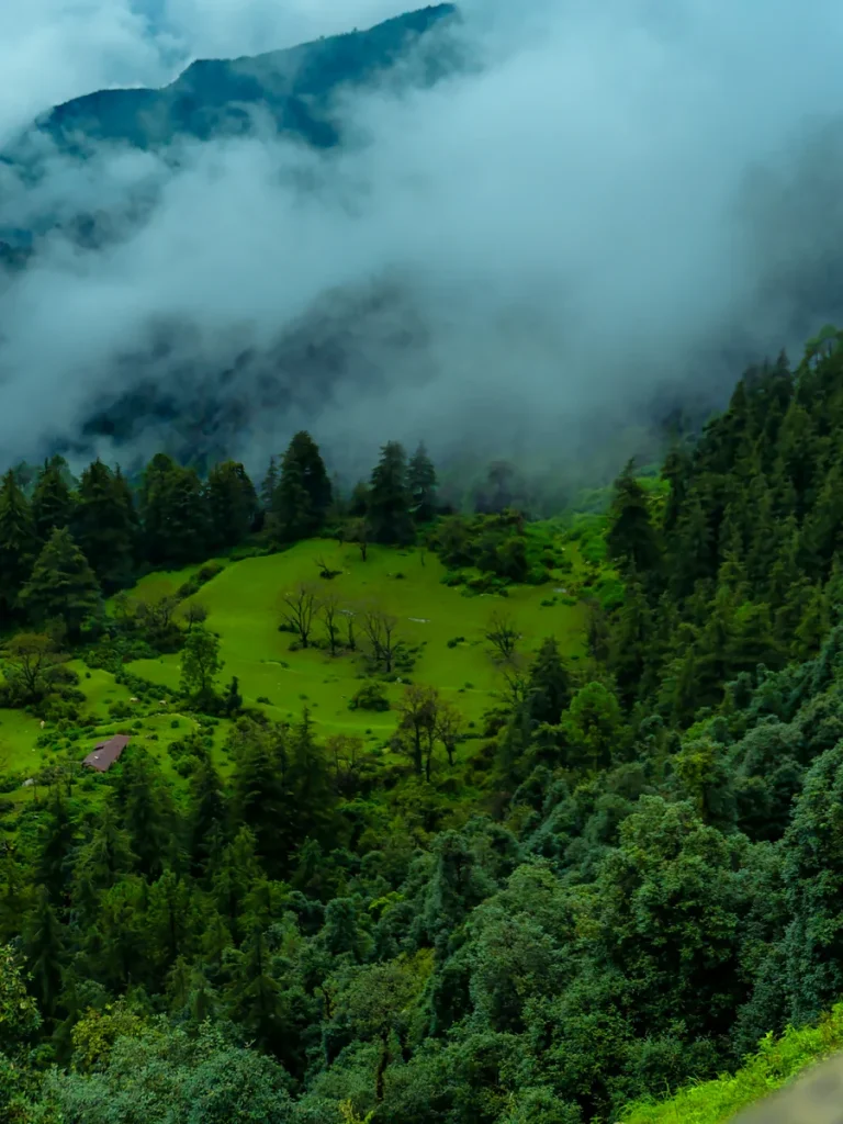 Monsoon in Mussoorie, The Coverpage Boutique Stays, Bataghat, Mussoorie