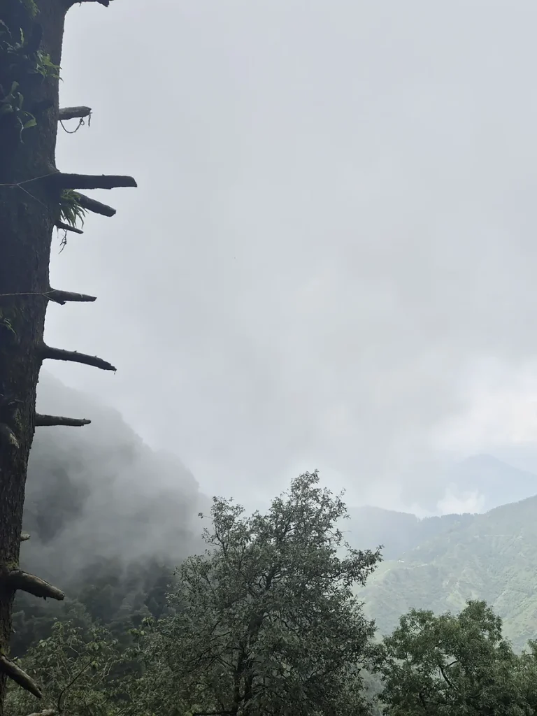 Monsoon in Mussoorie, The Coverpage Boutique Stays, Bataghat, Mussoorie