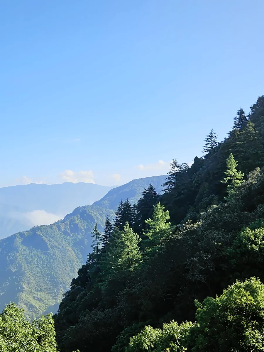 Spring in Mussoorie, The Coverpage Boutique Stays, Mussoorie