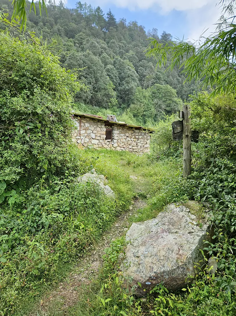 Spring in Mussoorie, The Coverpage Boutique Stays, Mussoorie