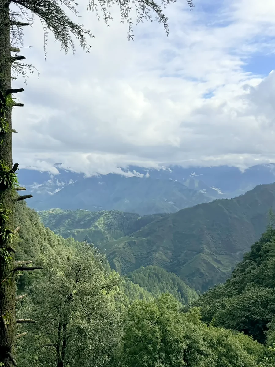 Summer in Mussoorie, The Coverpage Boutique Stays, Mussoorie