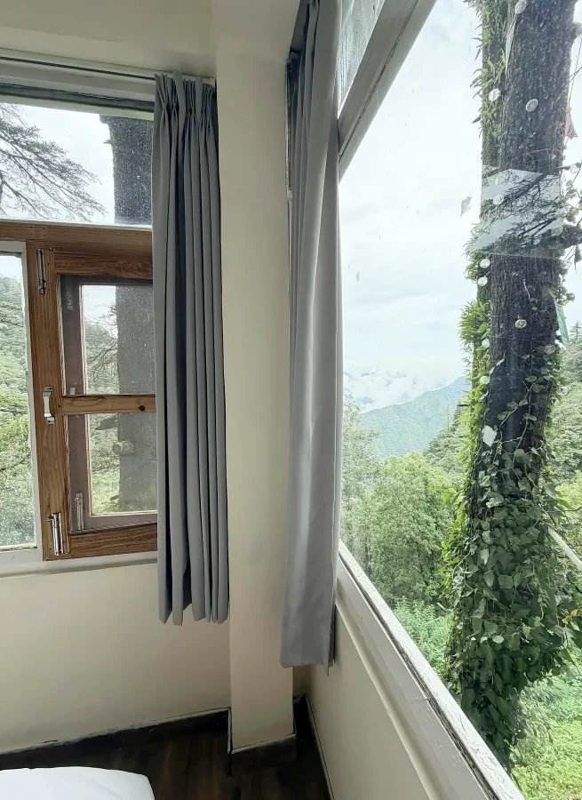 Panoramic Cabin at The Coverpage Boutique Stays