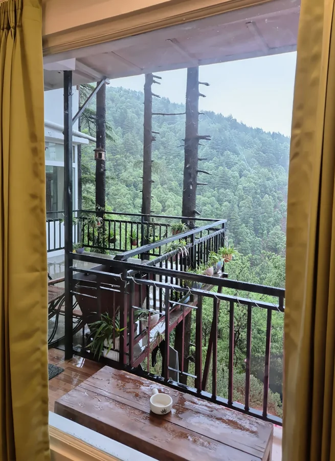 The Nest suite at The Coverpage Boutique Stays